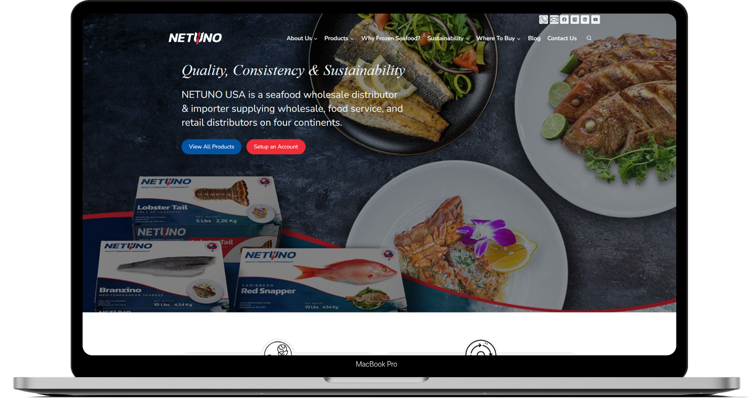 Netuno USA Inc.